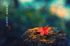 梦见爸妈吵架是什么意思