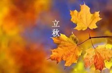 家里摆放空花瓶好吗？空花瓶里放什么好？