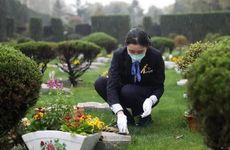 2022年12月扫墓吉日一览表 2022年12月修坟墓吉日