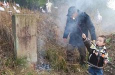 2024年天喜星入命的生肖 2024年天喜入命