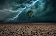 1991年路旁土命详解 运势吉凶分析