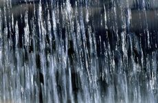 2024年白露属什么 生肖冲什么