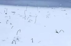 家族祖坟有问题的表现