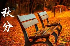 秋分是24节气的第几个节气 秋分后的第一个节气是什么