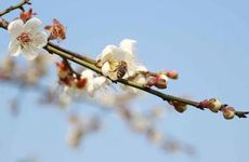 星期一到星期天眼皮跳 最准左右眼跳寓意解析