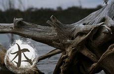 杨柳木命和城墙土命能婚配吗 路旁土命与杨柳木命配吗