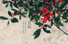 2024年立秋过后能吃西瓜吗