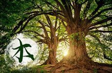 日柱纳音路旁土的详解 日主在日柱上的人好不好