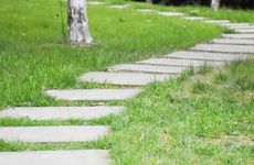 梦见别人下面又粗又大