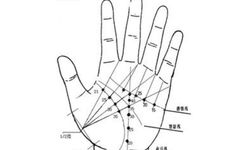嫁金龟婿的女人手相 太阳丘隆起女人豪门富太太