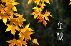 立秋时间2022几点几分 二零二二年几点立秋