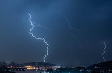 家里放猫眼竹芋吉利吗 猫眼竹放在家里可以吗