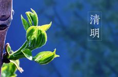 清明节吃什么食物     清明节必不可少的传统美食推荐