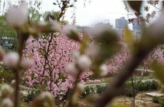 文昌塔什么材质最好 灵性最好的竟然是它