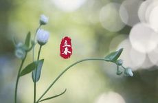 立春节气的民俗活动及禁忌