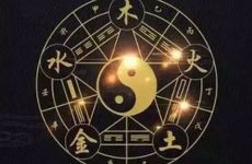 1956是什么命 1956年属相查询表