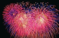 ​家里为什么不能放绿萝？绿萝招不好的东西是真是假？