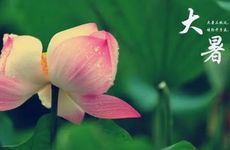 大暑节气的风俗活动及传统美食