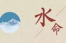 1975属兔人是木命还是水命