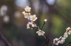 2023年躲春的时候可以做什么？2023年孩子为什么要躲春躲年