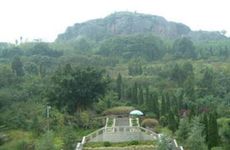 阴宅风水迁坟破土程序