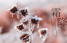 为什么大年初四放鞭炮 需要注意什么