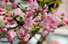 今年教师节主题已定:弘扬高尚师德 赞美老师的文案