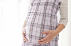 2022年绿植可以放在哪些方位