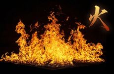 丁丑年是哪一年？丁丑年出生的牛命运