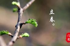 立春前一天绝日忌讳2023 立春代表着什么