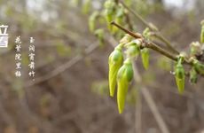 梦见佛祖怎么回事 梦见佛祖有什么预兆