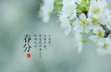 寅时出生的人命运如何（3：00-5：00）