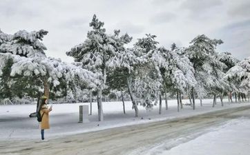 2023年小雪节气的天气特点 小雪怎么养生