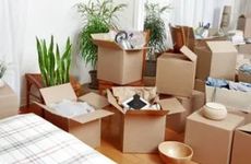 梦见甲鱼是什么预兆？预示财运旺盛增加收入