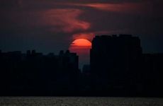 梦见乌龟吃蛇怎么回事 梦见乌龟吃蛇有什么预兆