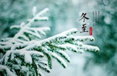 简单网名女生最新