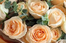 2022中国七夕是几月几号 距离七月初七还有多少天2022