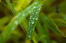 梦见网友怎么回事 梦见网友有什么预兆