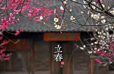 七月半要准备什么东西注意什么