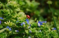 2024几九了怎么查询