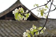 眼跳吉凶预测 2023年最详眼跳预兆解析