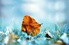 梦见信用卡怎么回事 梦见信用卡有什么预兆