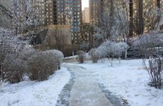 戊辰日柱与壬戌、庚戌、甲辰、丙辰日柱相冲