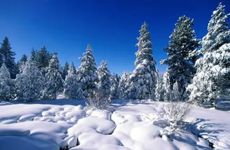 小寒节气三候是指什么？小寒节气不能做什么？