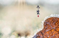 天生就非常有投资头脑的生肖