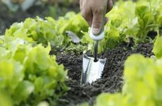 太岁符使用方法 太岁符的作用与功效