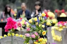 2023年上半年修坟的 癸卯年修坟立碑用什么日子