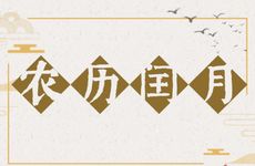宠物猪的名字