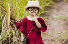 家里客厅电视柜两边养什么花最好 向日葵生机勃勃