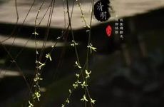 清明节和寒食节是一个节日吗 寓意不同各有风俗